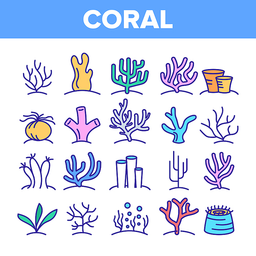 Corals Reefs And Seaweed Vector Linear Icons Set. Ocean Corals, Underwater Sea Life Outline Symbols Pack. Marine Flora And Fauna. Aquarium Natural Decoration Isolated Contour Illustrations