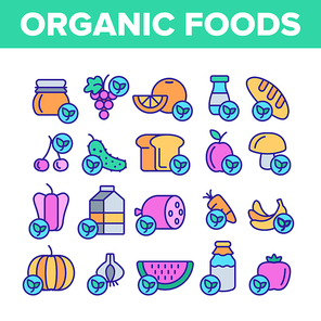 Organic Foods Vector Thin Line Icons Set. Organic Food, Fresh Fruits, Berries, Vegetables Linear Pictograms. Healthy Nutrition. Eco Dairy, Meat Products Organic Farming Produce Contour Illustrations