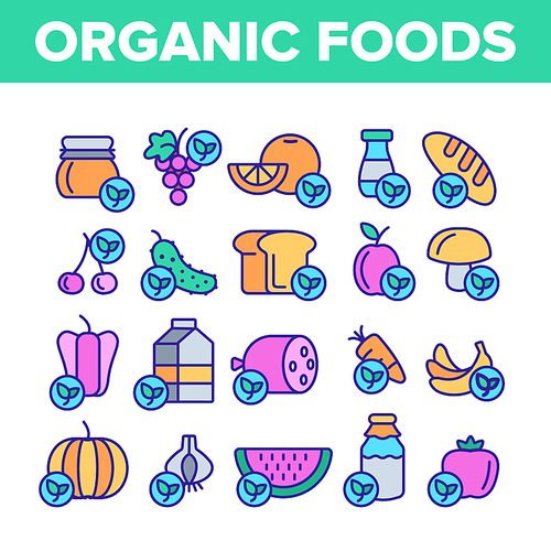 organic foods vector thin line icons set. organic food, fresh fruits, berries, vegetables linear pictograms. healthy nutrition.  dairy, meat products organic farming produce contour illustrations