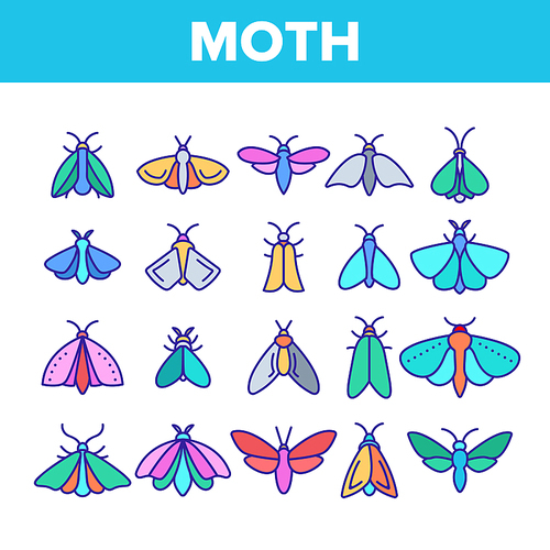 Color Moth, Insects Entomologist Collection Vector Linear Icons Set. Moth Species And Types Outline Cliparts. Flying Insects With Wings Pictograms Collection. Butterflies Illustration