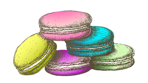 Color Macaroon Biscuit Sweet Dessert Vintage Vector. French Bakery Confectionery Delicious Cookie Macaroon Concept. Designed In Retro Style Gastronomy Product Template Illustration