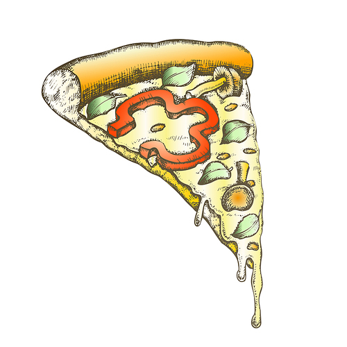 Color Vegetarian Italian Slice Pizza Hand Drawn Vector. Slice Cheese Pizza With Ingredients Mushroom Honey Agaric And Paprika Pepper, Basil Leaves And Oregano Concept. Designed Illustration