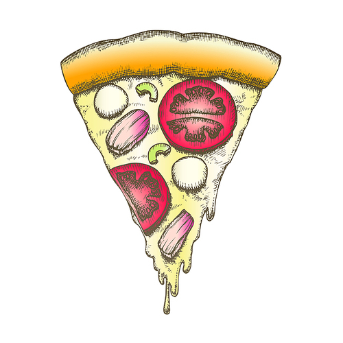 Color Vegetable Italian Slice Piece Pizza Vintage Vector. Cooked Slice Pizza With Ingredients Mushrooms And Mozzarella Cheese, Tomatoes And Olives Concept. Designed Pizzeria Food Illustration