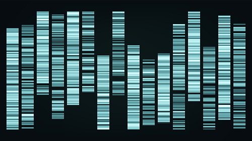 Design Color Big Genomic Data Visualization Vector. Dna Test, Barcoding, Genomic Map Architecture. Medical Chromosome Analysis Graphic Bioinformatic Diagram Template Flat Illustration