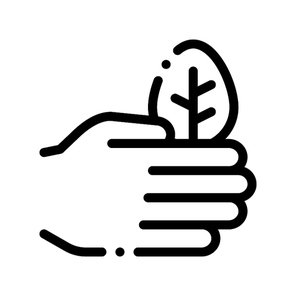 Hand Care Wood Leaves Tree Vector Thin Line Icon. Organic Cosmetic, Natural Wood Component Linear Pictogram. Eco-friendly, Cruelty-free Product, Molecular Analysis Contour Illustration