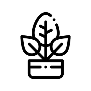 Bush Plant Leaves In Pot Vector Thin Line Icon. Organic Cosmetic, Domestic Nature Component Plant Leaf Linear Pictogram. Eco-friendly, Cruelty-free Product, Molecular Analysis Contour Illustration