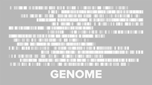 Horizontal Big Genomic Data Visualization Vector. Dna Test, Barcoding, Genomic Map Architecture. Medical Chromosome Analysis Graphic Bioinformatic Diagram Monochrome Template Flat Illustration