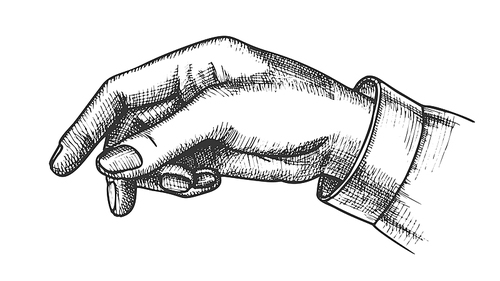 Female Hand Pointer Finger Showing Gesture Vector. Elegant Woman Arm Index Finger Arrow Suggesting On Something. Girl Forefinger Wrist Gesturing Choice Monochrome Closeup Cartoon Illustration