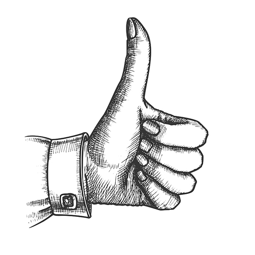 Female Hand Make Gesture Thumb Finger Up Vector. Woman Showing Gesture Sign Like Good Emotion And Expression. Girl Wrist Gesturing Signal Black And White Hand Drawn Closeup Vintage Illustration
