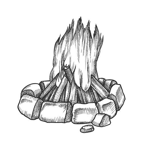 Traditional Burning Campfire Monochrome Vector. Burning Firewood With Bricks Stones Around Of Flame. Bonfire Camping Tourist Element Hand Drawn In Vintage Style Black And White Illustration
