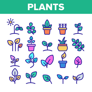 Color Different Plants Sign Icons Set Vector Thin Line. House Plants, Gardening And Leaves Assortment Linear Pictograms. Nature Decoration And Tree Bunch Contour Illustrations