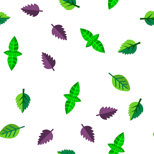 Basil Leaves Vector Seamless Pattern Color Flat Illustration