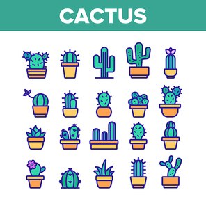 Cactus Domestic Plant Collection Icons Set Vector Thin Line. Different Cactus And Succulent With Thorn, Spike And Flower Concept Linear Pictograms. Houseplants Color Contour Illustrations