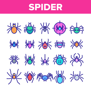 Spider Silhouette Collection Icons Set Vector Thin Line. Danger Poison Arachnid Spider Concept Linear Pictograms. Creepy And Spooky Animal Insect Wildlife Color Contour Illustrations