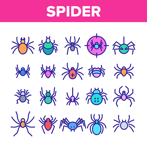 Spider Silhouette Collection Icons Set Vector Thin Line. Danger Poison Arachnid Spider Concept Linear Pictograms. Creepy And Spooky Animal Insect Wildlife Color Contour Illustrations