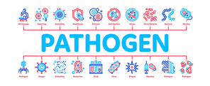 Pathogen Minimal Infographic Web Banner Vector. Pathogen Bacteria Microorganism, Microbes And Germs Linear Pictograms. Analysis In Flask, Microscope And Injection Contour Illustrations