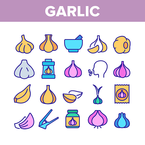 Garlic Spicy Vegetable Collection Icons Set Vector Thin Line. Smell From Mouth And Garlic Press, Organic Plant And Bottle With Spice Concept Linear Pictograms. Color Contour Illustrations