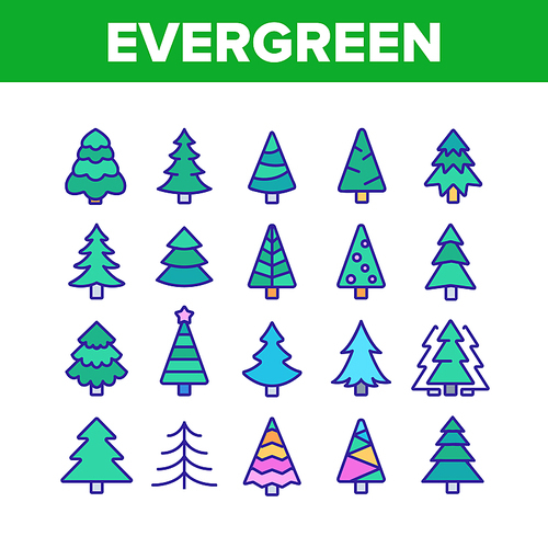 Evergreen Pine Tree Collection Icons Set Vector Thin Line. Evergreen Fir With Needles, Christmas Ornament Concept Linear Pictograms. Nature Forest And Woodland Color Illustrations