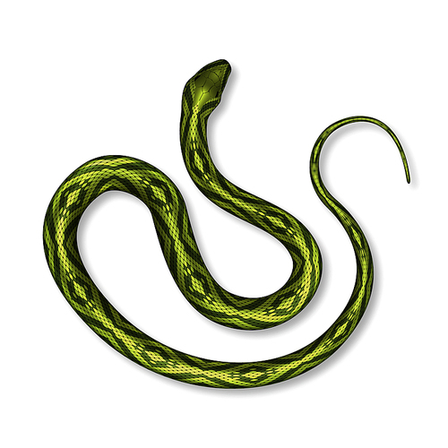 Poisonous Snake With Bright Color Top View Vector. Wild Tropical Goldy And Green Skin Endemic Snake. Crawling Dangerous Venomous Viper. Deadly Vertebrate Mammal Predator Realistic 3d Illustration