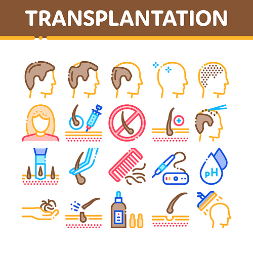 Hair Transplantation Collection Icons Set Vector Thin Line. Balding And Baldness Man Head, Shampoo And Medicine In Bottle Transplantation Concept Linear Pictograms. Color Contour Illustrations