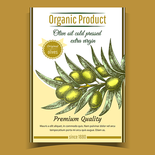 Agricultural Fresh Olive Tree Branch Banner Vector. Organic Product Olive Oil Cold Pressed Extra Virgin Premium Quality. Designed Vegetable Detail Template Color Poster Illustration