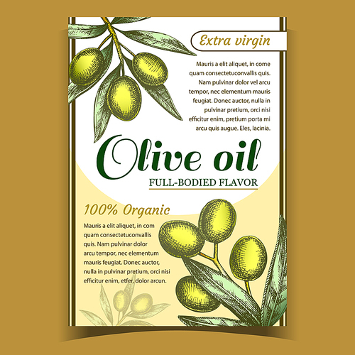 Agricultural Fresh Olive Tree Branch Poster Vector. Leaves And Organic Full-Bodied Flavor Olive Extra Virgin Oil Ingredient For Salad. Designed Template Colorful Banner Illustration