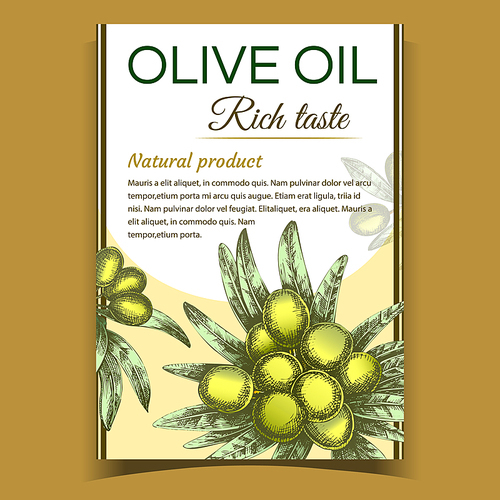 Agricultural Olive Tree Branch on Poster Vector. Leaves And Olive Vegetable Plant and Rich Taste Phrase of Oil Natural Product Advertising Banner. Designed In Vintage Style Template Illustration