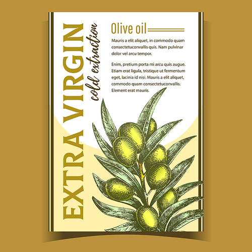 Natural Fresh Olive Tree Branch Banner Vector. Extra Virgin Cold Extraction For Olive Oil Premium Quality. Hand Drawn Vegetable With Green Leaves Layout Colored Poster Illustration