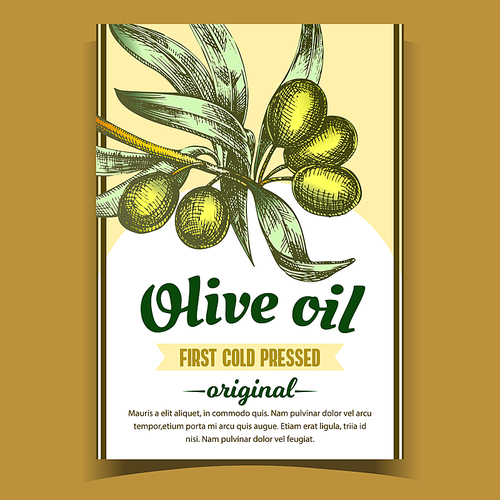 Olive Extra Virgin Organic Product Label Vector. Farming Greece Culture And Green Leaves on Bottle Sticker Hand Drawn In Vintage Style. Gastronomy Dietary Oil Promo Template Color Illustration