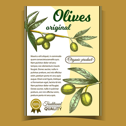 Olives Original Organic Product Poster Vector. Traditional Italian Quality Ripe Olives And Golden Medal Award On Vertical Advertising Flyer Retro Style. Nutrition On Twig Layout Colorful Illustration