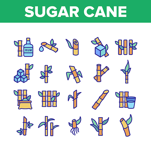 Sugar Cane Agriculture Collection Icons Set Vector Thin Line. Rum Bottle, Water Glass, Bio Organic Sugar Sweet Nutrition Concept Linear Pictograms. Monochrome Contour Illustrations