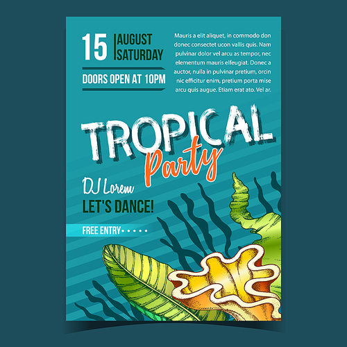 Tropical Leaf, Seaweeds And Shell Banner Vector. Decorative Jungle Floral Frond Leaf And Sea Plant On Invite Flyer. Beautiful Nature Botanical Tree Herb Designed In Retro Style Illustration
