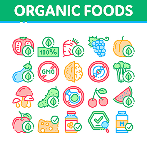 organic  foods collection icons set vector thin line. organic tomato and mushrooms, peach and grape, apple and cherry concept linear pictograms. color contour illustrations