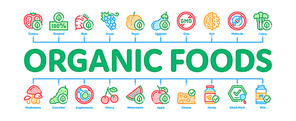 organic  foods minimal infographic web banner vector. organic tomato and mushrooms, peach and grape, apple and cherry concept illustrations