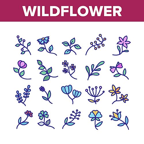 Wildflower Natural Collection Icons Set Vector. Wildflower Branch And Flower Bouquet, Blooming Nature Floral Botany Plant Concept Linear Pictograms. Color Contour Illustrations