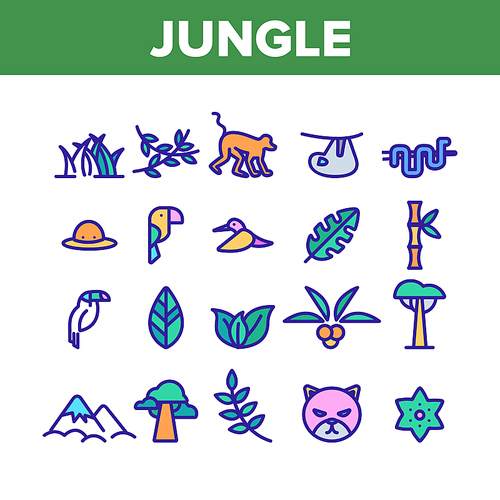 Jungle Forest Collection Elements Icons Set Vector Thin Line. Jungle Animal And Plants, Monkey And Snake, Parrot And Wild Cat Concept Linear Pictograms. Wildlife Color Contour Illustrations