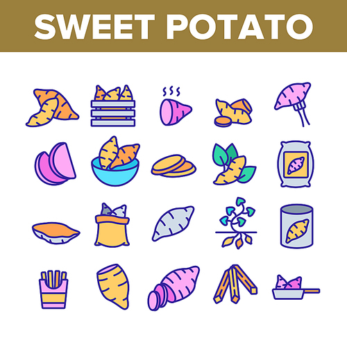 Sweet Potato Batata Collection Icons Set Vector. Fried And Boiled Sweet Potato, Sliced And Fresh Vegetable, In Bag And Box Concept Linear Pictograms. Color Contour Illustrations
