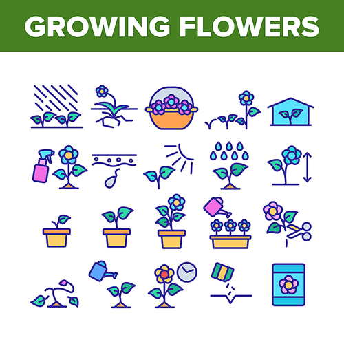 Growing Flowers Plants Collection Icons Set Vector. Growing Flowers In Greenhouse And Pot, Planting, Cultivating And Harvest Concept Linear Pictograms. Color Illustrations
