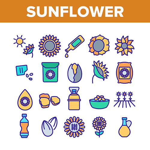 Sunflower Products Collection Icons Set Vector. Sunflower Oil And Seeds, Agricultural Herbal Flower And Sun, Bottle And Bag Concept Linear Pictograms. Color Illustrations