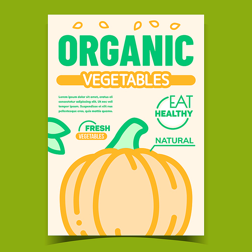 Organic Vegetable Bright Advertising Banner Vector. Fresh And Natural Pumpkin Vegetable, Seeds And Green Leaves On Promo Poster. Healthy Eat Concept Template Stylish Colorful Illustration