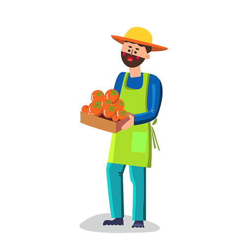 Man Holding Box With Persimmon Vector. Bearded Farmer Boy Persimmon Fruit In Carton Container. Garden Worker Or Smiling Male Grocery Shop Assistant Flat Cartoon Illustration