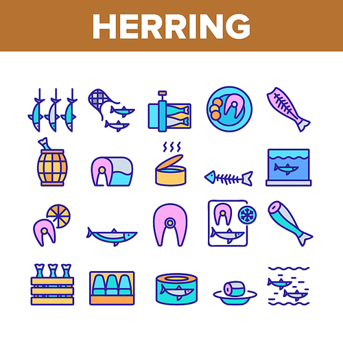 Herring Marine Fish Collection Icons Set Vector. Herring Sliced Piece And Fillet, Skeleton And Carcass, Cooked And Frozen, Package And Box Concept Linear Pictograms. Color Illustrations