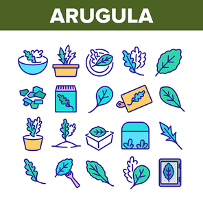 Arugula Or Rucola Collection Icons Set Vector. Arugula Plant In Greenhouse And Garden, On Plate And Fork, Leaf Spice For Meal Concept Linear Pictograms. Color Illustrations