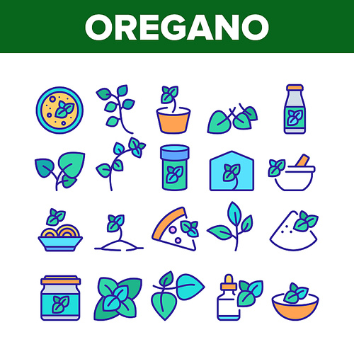 Oregano Herbal Plant Collection Icons Set Vector. Oregano Spice Branch In Greenhouse And Garden, In Pot And Bottle, Spice On Pizza And Soup Concept Linear Pictograms. Color Illustrations