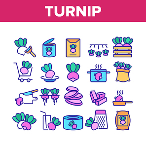 Turnip Agricultural Vegetable Icons Set Vector. Boiled And Fried Turnip, Cut Desk And Knife, Cart And Box, Grater And Bag Color Illustrations