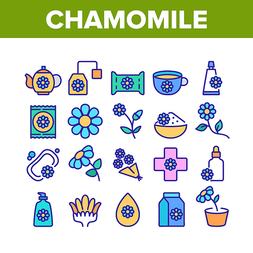 Chamomile Flower Plant Collection Icons Set Vector. Chamomile Tea Delicious Healthcare Drink, Bouquet And Bud, Soap And Cream Cosmetic Color Illustrations
