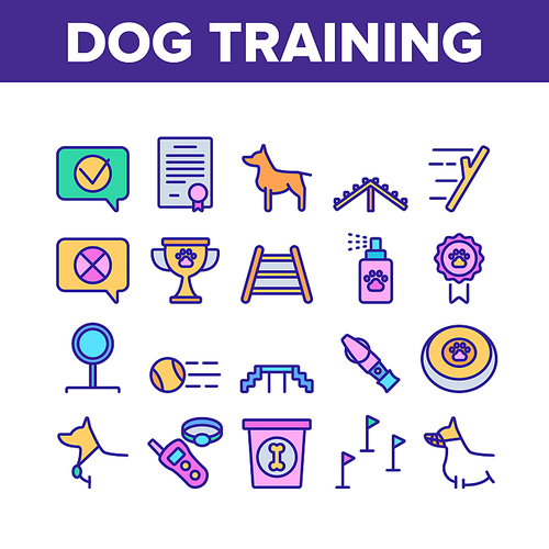 Dog Training Equipment Collection Icons Set Vector. Animal Dog With Muzzle And Medal, Certificate And Award, Stick And Ball Color Illustrations