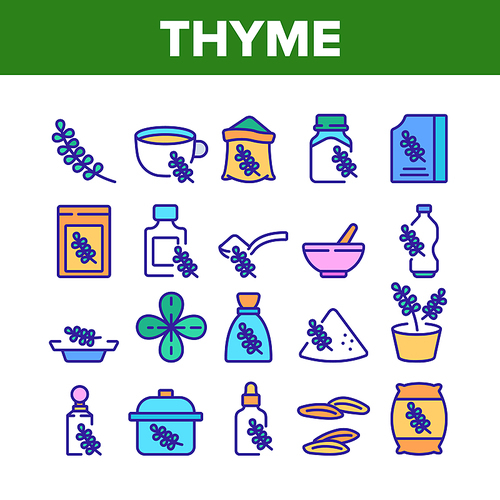 Thyme Plant Product Collection Icons Set Vector. Thyme Branch And Aromatic Herb, Drink Cup And Bottle, Bag And Package, Spoon And Plate Color Illustrations