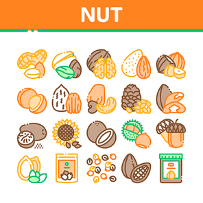Nut Food Different Collection Icons Set Vector. Peanut And Almond, Chestnut And Macadamia, Cashew And Pistachio, Pine And Sunflower Seeds Concept Linear Pictograms. Color Illustrations