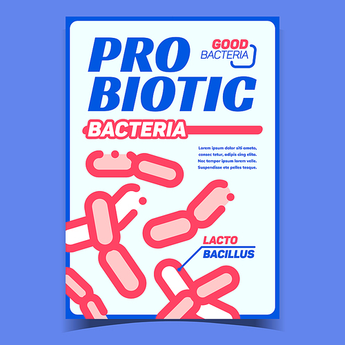 Probiotic Bacteria Creative Promo Poster Vector. Health Care Probiotic Bacteria, Lacto Bacillus On Promotional Banner. Normal Intestinal Microflora Concept Template Stylish Colorful Illustration